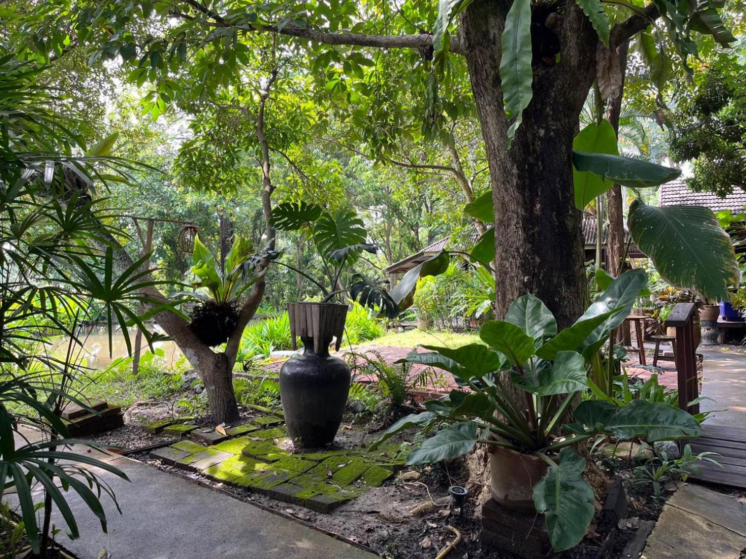 Tongluang Inthanon Homestay โต้งหลวงอินทนนท์โฮมสเตย์ Chom Thong Exterior photo
